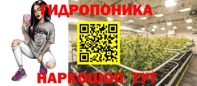 гашиш Кимры