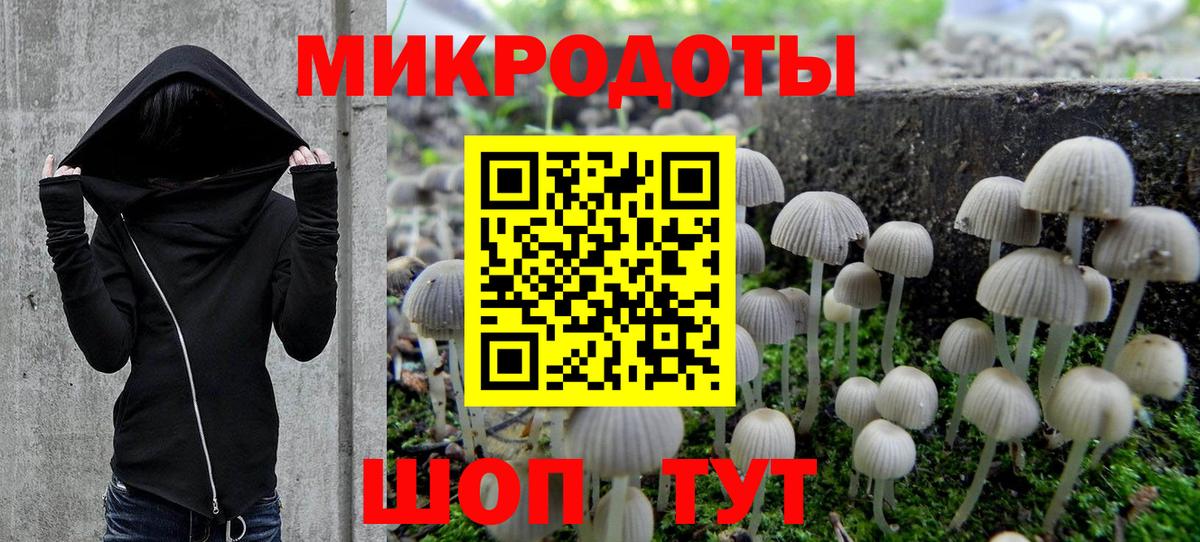 Псилоцибиновые грибы Cubensis Севастополь