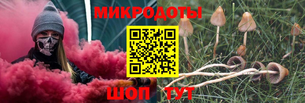 Севастополь  Галлюциногенные грибы Cubensis  Галлюциногенные грибы прущие грибы  Вход с VPN 